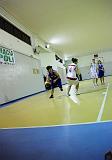 Basket C321099